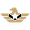 eaglenetwork.app-logo